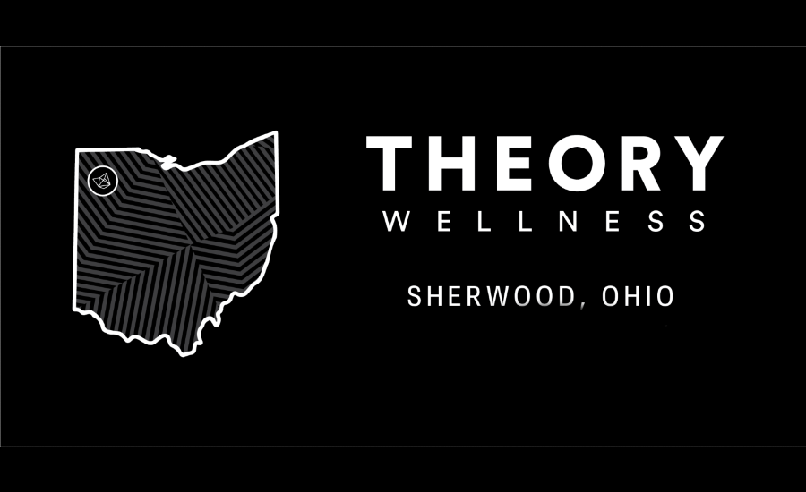 Theory Wellness Ohio