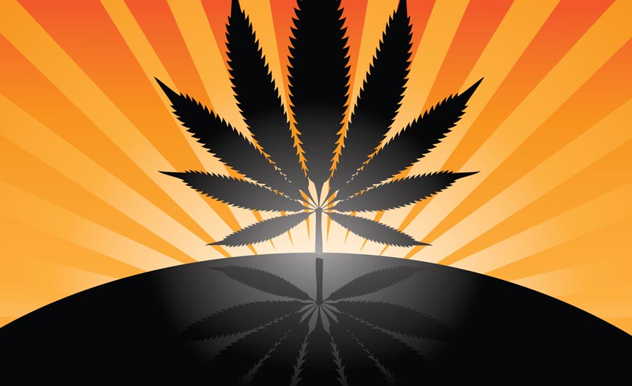 cannabis leaf with orange sun ray background